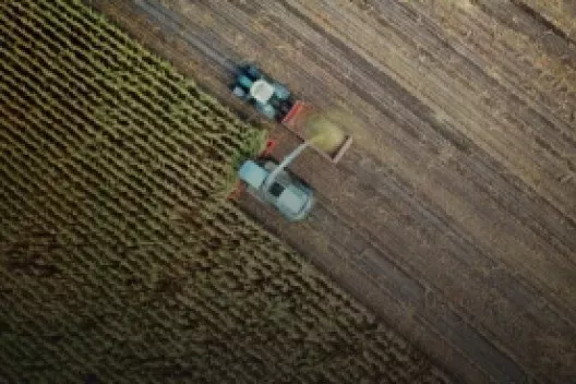 Agriculture